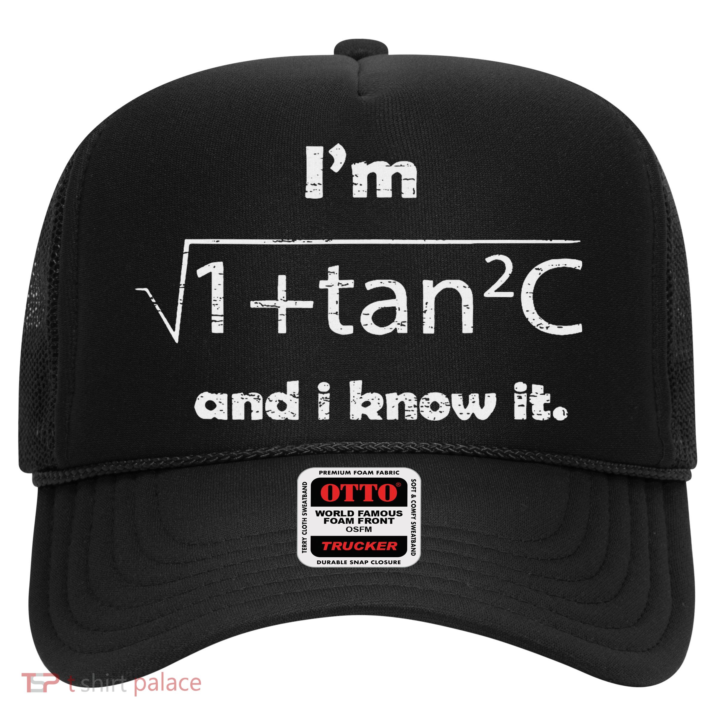 I'm Sexy Math Humor I'm Sec C And I Know It Mathematics Love Trucker Hat
