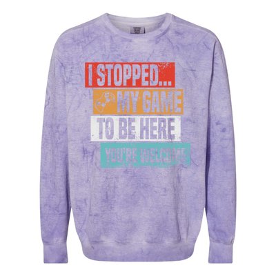 I Stopped My Game To Be Here Gaming Funny Gamer Vintage Great Gift Colorblast Crewneck Sweatshirt