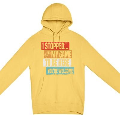 I Stopped My Game To Be Here Gaming Funny Gamer Vintage Great Gift Premium Pullover Hoodie