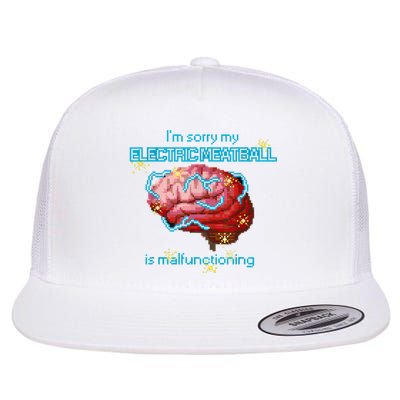 Im Sorry My Electric Meatball Is Malfunctioning Funny Brain Flatbill Hat