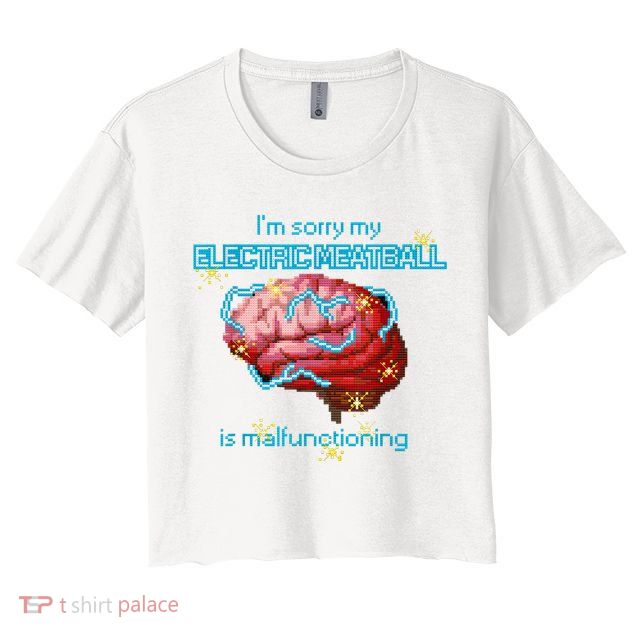 Im Sorry My Electric Meatball Is Malfunctioning Funny Brain Crop Top