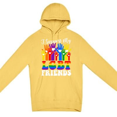 I Support My Lgbt Friends Lgbtq Gay Lesbian Awareness Meaningful Gift Premium Pullover Hoodie