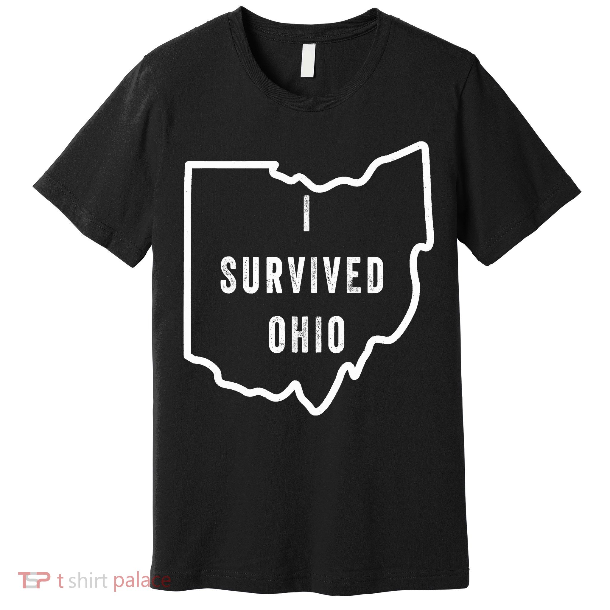 I Survived Ohio Meme Retro Shirt Funny I Survived Ohio Premium T-Shirt