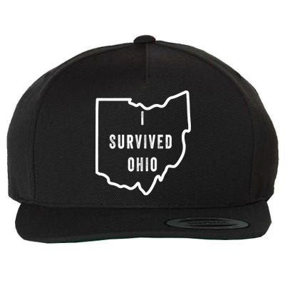 I Survived Ohio Meme Retro Shirt Funny I Survived Ohio Wool Snapback Cap