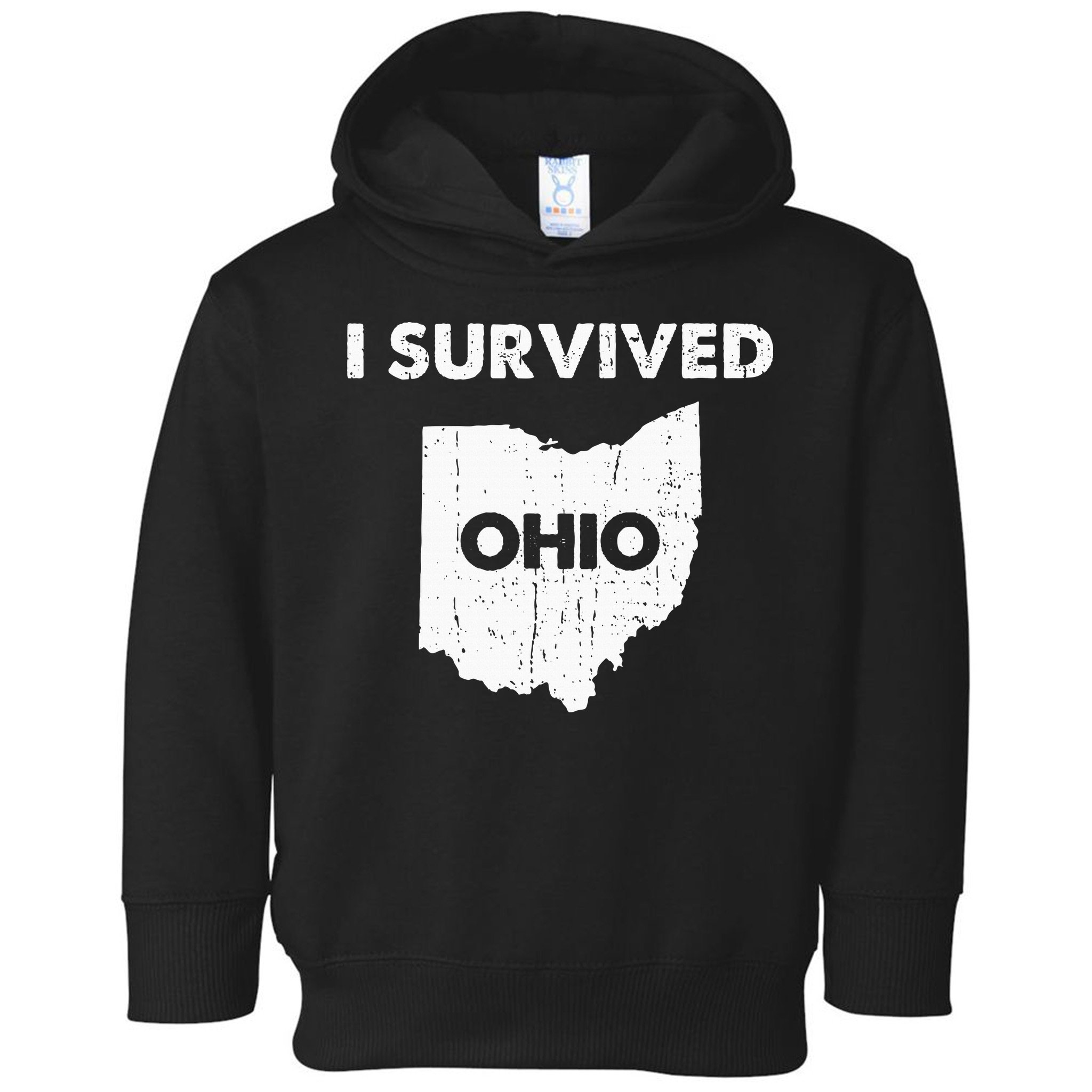 I Survived Ohio Toddler Hoodie
