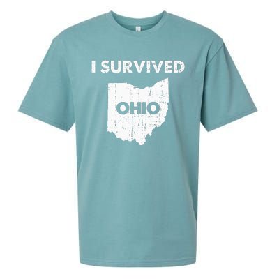 I Survived Ohio Sueded Cloud Jersey T-Shirt