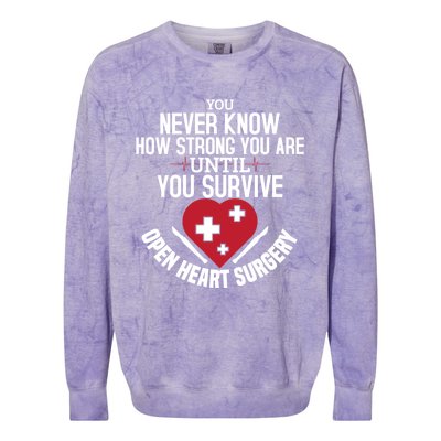 I Survived Open Heart Surgery Funny Gift Recovery Gift Colorblast Crewneck Sweatshirt