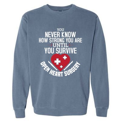 I Survived Open Heart Surgery Funny Gift Recovery Gift Garment-Dyed Sweatshirt