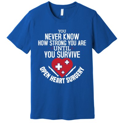 I Survived Open Heart Surgery Funny Gift Recovery Gift Premium T-Shirt