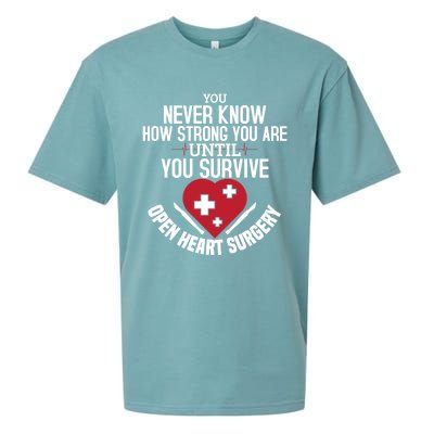 I Survived Open Heart Surgery Funny Gift Recovery Gift Sueded Cloud Jersey T-Shirt