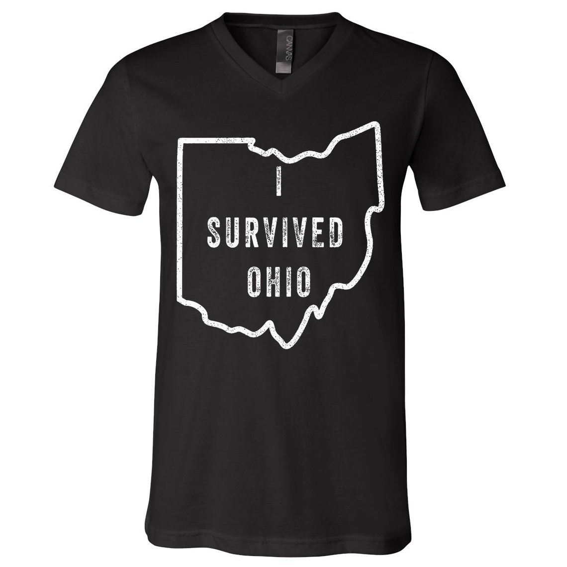 I Survived Ohio Meme V-Neck T-Shirt