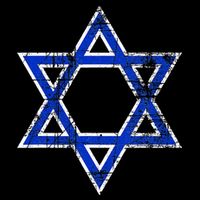 Israel's Star of David Symbol of Israel Cooling Performance Crew T-Shirt