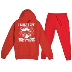 I Sweat Off The Stress Awareness Month Gym Bodybuilder Cool Gift Premium Hooded Sweatsuit Set