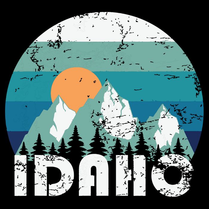 Idaho State Retro Vintage Performance Shirt