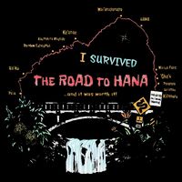 I Survived Road To Hana Maui Island Hawaiian Beach Summer Tank Top
