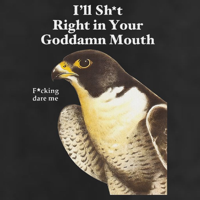 I’Ll Sht Right In Your Goddamn Mouth Funny Saying Quote 7 Panel Mesh Trucker Snapback Hat