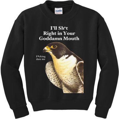 I’Ll Sht Right In Your Goddamn Mouth Funny Saying Quote Gift Kids Sweatshirt
