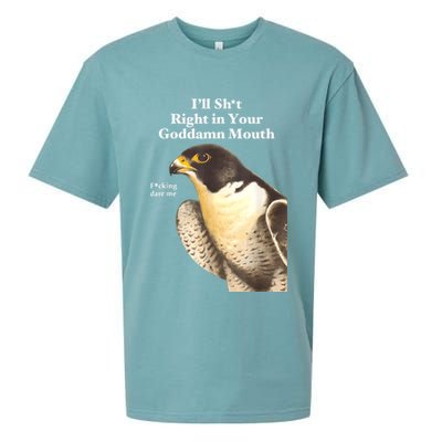 I’Ll Sht Right In Your Goddamn Mouth Funny Saying Quote Sueded Cloud Jersey T-Shirt
