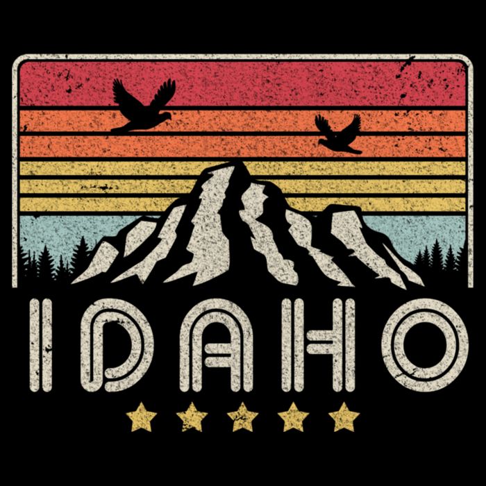 Idaho Shirt. Retro Style ID, USA Cooling Performance Crew T-Shirt