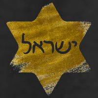 Israel Gold Abstract Adult Drive Performance Visor