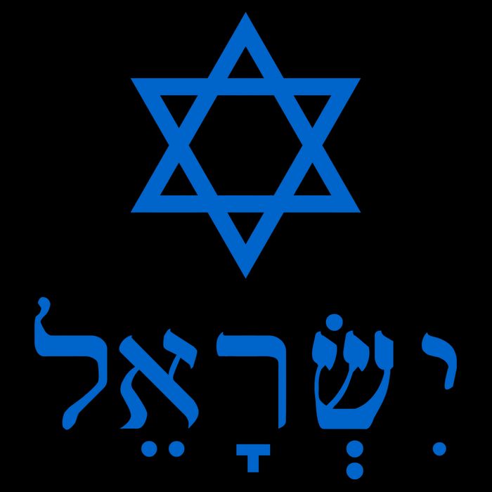 Israel Star Of David In Hebrew Tall T-Shirt