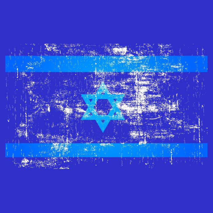 Israel Vintage Flag Women's V-Neck T-Shirt