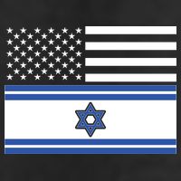 Israeli American Flag Adult Drive Performance Visor