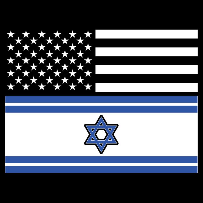 Israeli American Flag Flatbill Hat