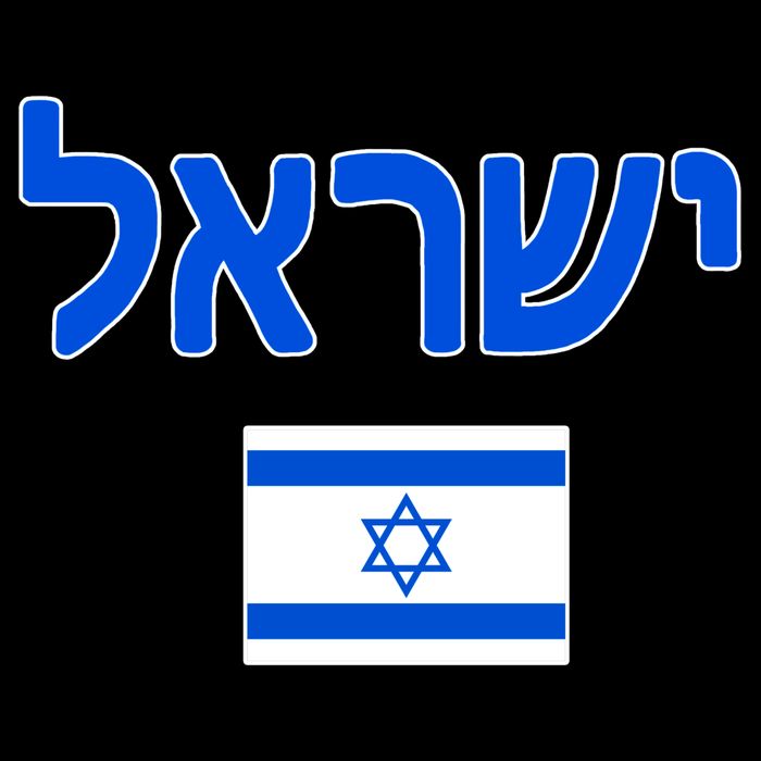 Israeli Flag Israel 16 in Basic Backpack