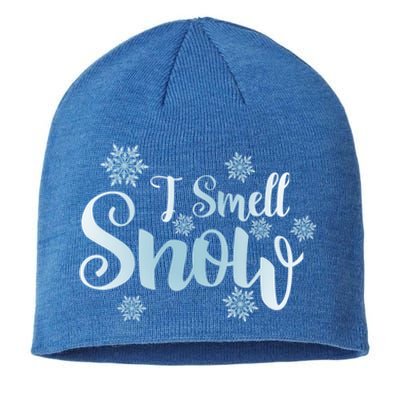 I Smell Snow Cute Snowflakes Snowy Winter Holiday Christmas Gift Sustainable Beanie