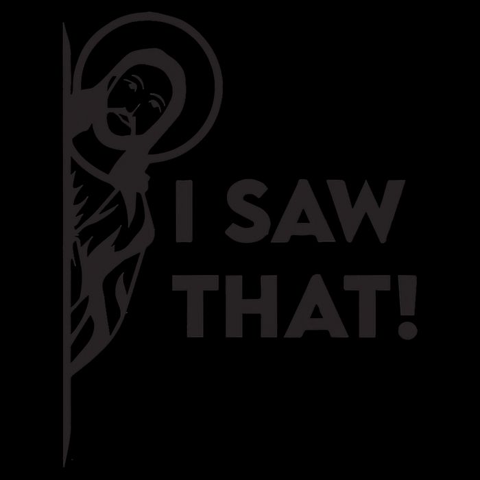 I Saw That Funny Jesus Meme Christian Flat Bill Trucker Hat