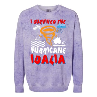 I Survived The Hurricane Idalia Colorblast Crewneck Sweatshirt