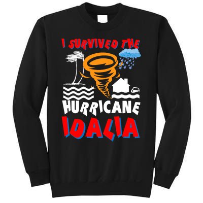 I Survived The Hurricane Idalia Sweatshirt