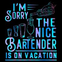 IM Sorry The Nice Bartender Is On Vacation Funny Button