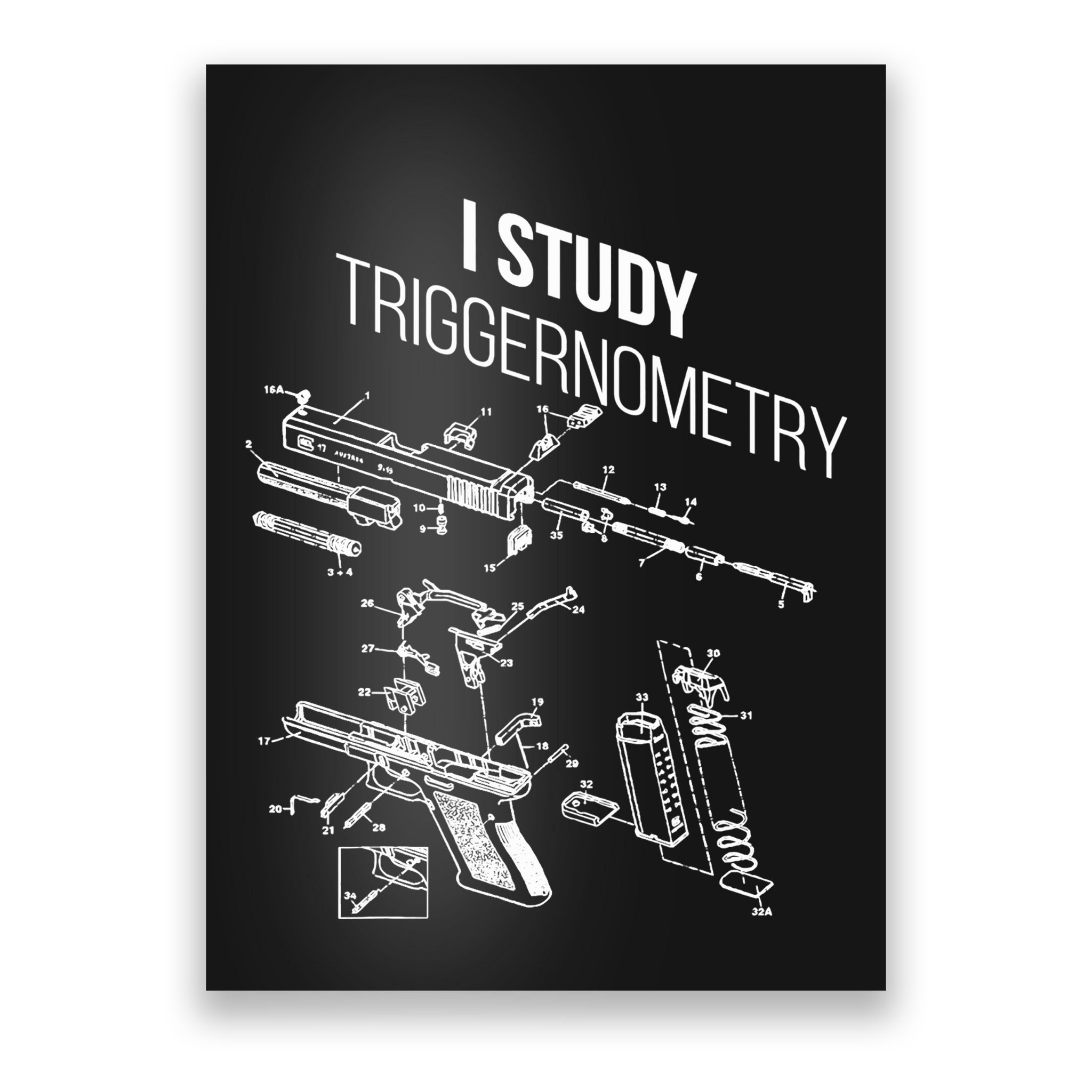 I Study Triggernometry Poster