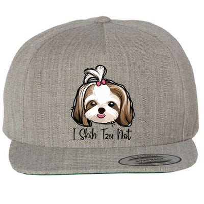 I Shih Tzu Not Funny Shih Tzu Mom Dog Lovers Mothers Day Wool Snapback Cap