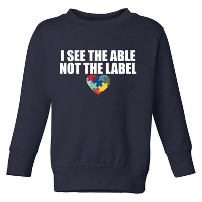 I See The ABLE Not The LABEL Toddler Sweatshirt