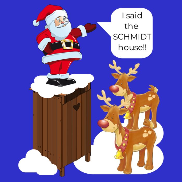 I Said The Schmidt House Fun Xmas Gift 16 in Basic Backpack