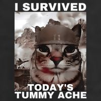 I Survived Todays Tummy Ache Adult Drive Performance Visor