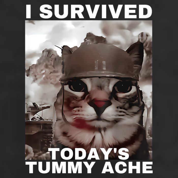 I Survived Todays Tummy Ache 11oz C Handle Ceramic Mug