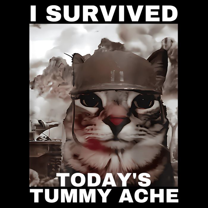 I Survived Todays Tummy Ache Bag