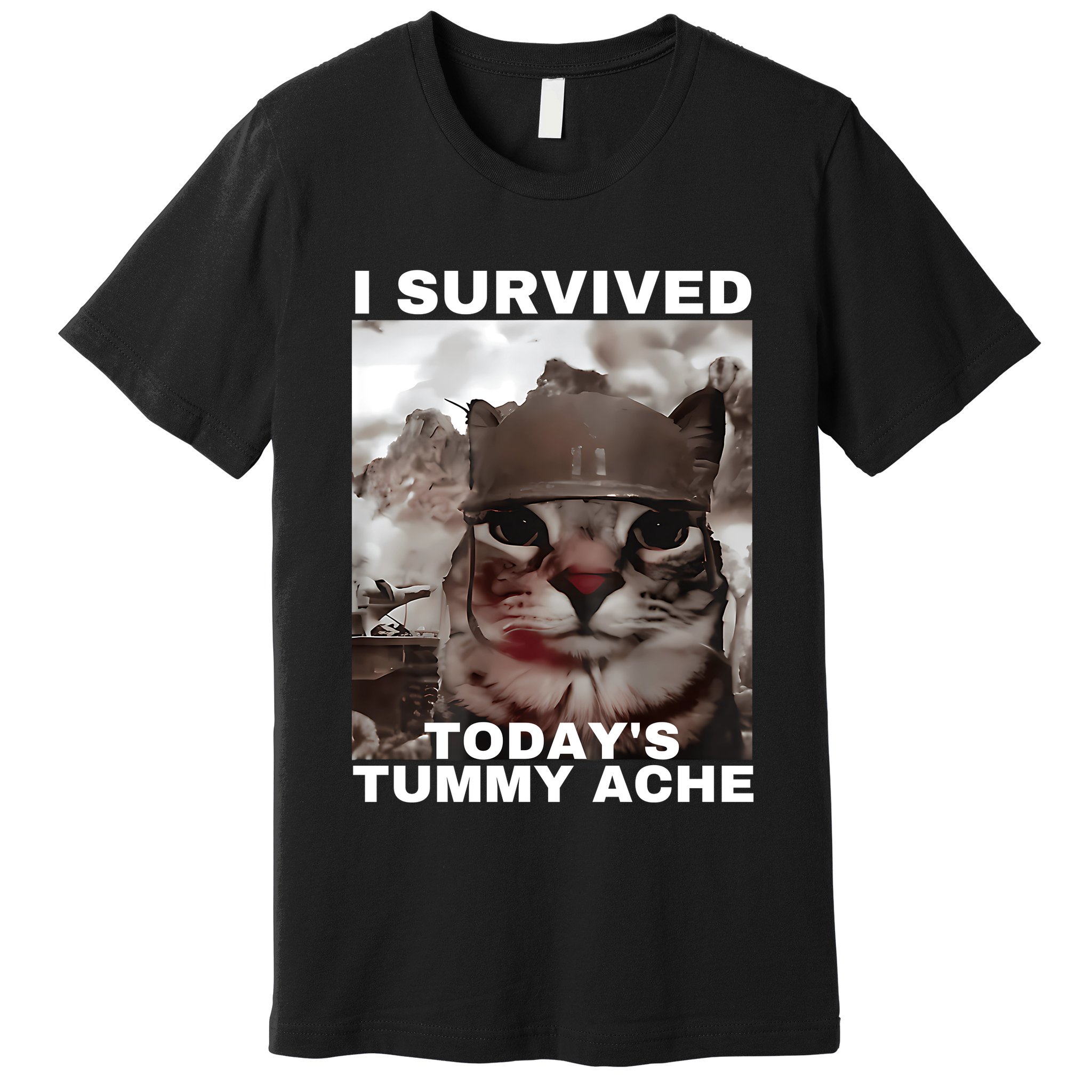 I Survived Todays Tummy Ache Premium T-Shirt