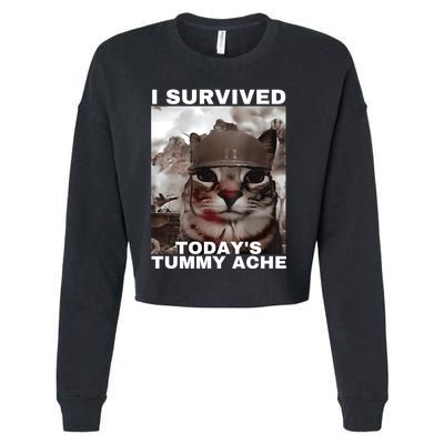 I Survived Todays Tummy Ache Cropped Pullover Crew