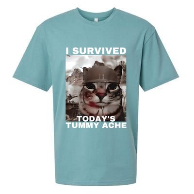 I Survived Todays Tummy Ache Sueded Cloud Jersey T-Shirt