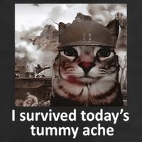 I Survived TodayS Tummy Ache Adult Drive Performance Visor