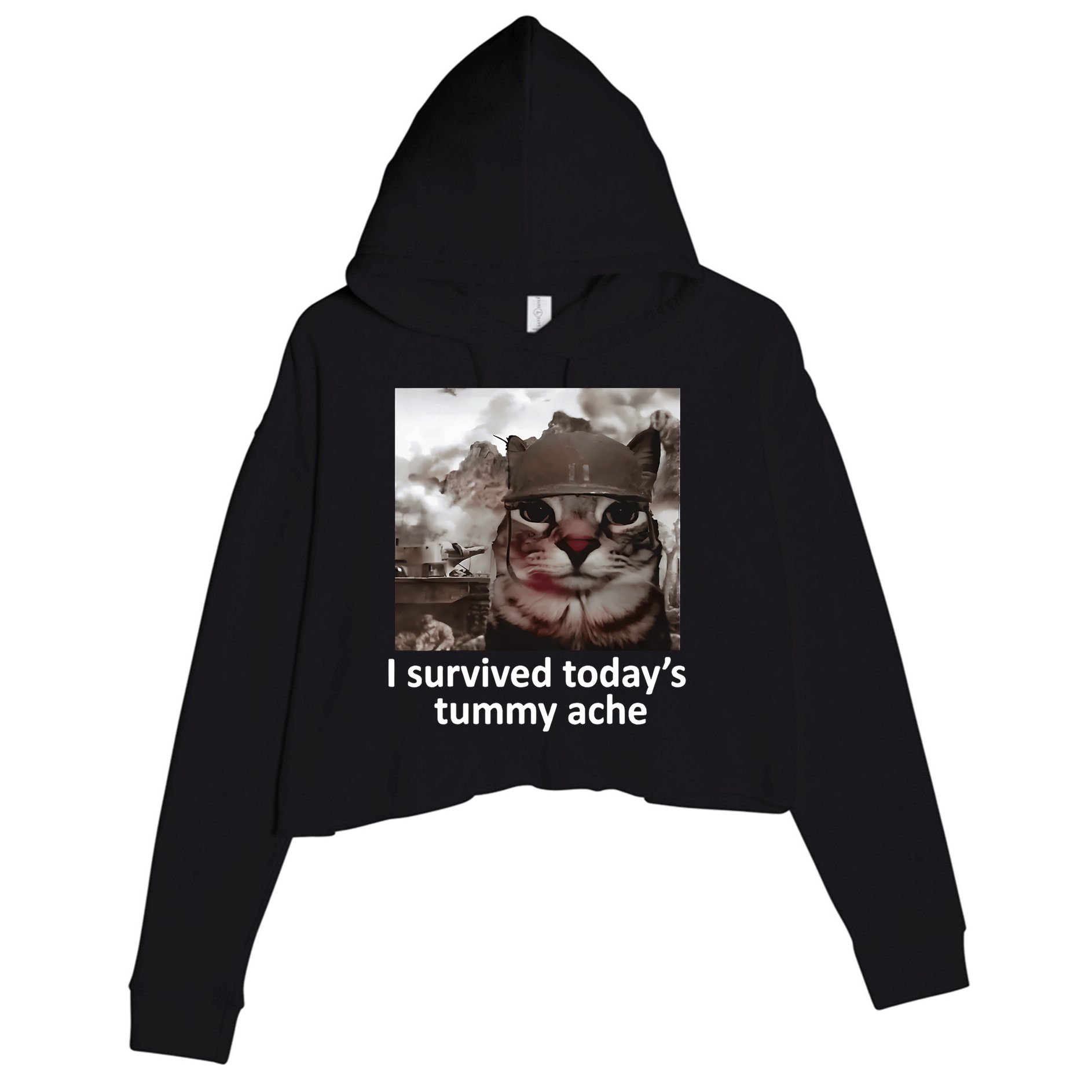 I Survived TodayS Tummy Ache Crop Fleece Hoodie