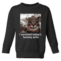 I Survived TodayS Tummy Ache Toddler Sweatshirt