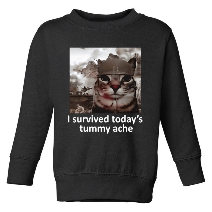 I Survived TodayS Tummy Ache Toddler Sweatshirt