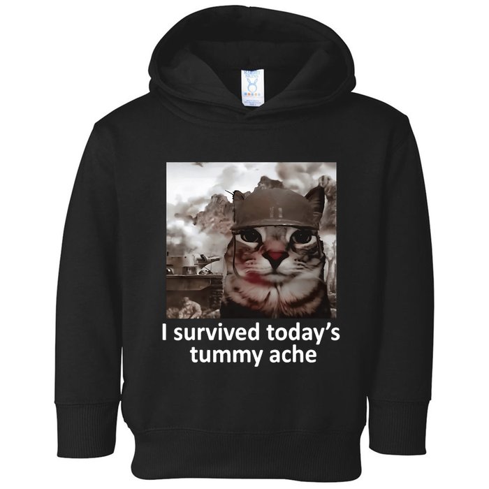 I Survived TodayS Tummy Ache Toddler Hoodie