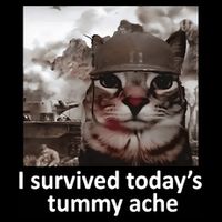 I Survived TodayS Tummy Ache Toddler T-Shirt